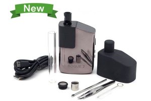 Healthy Rips Rogue 2 Review healthy rips rogue 2 review